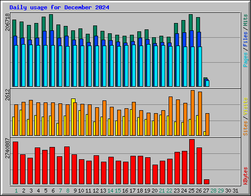 Daily usage for December 2024