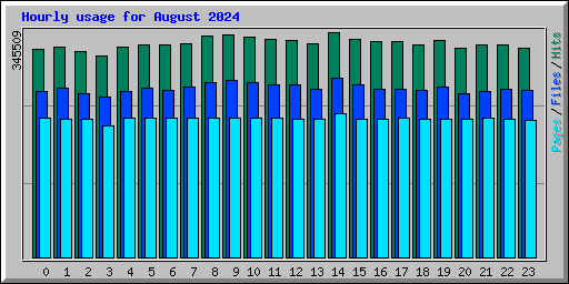 Hourly usage for August 2024