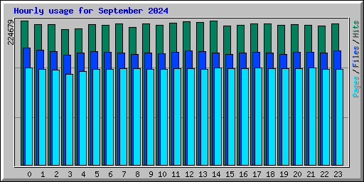 Hourly usage for September 2024