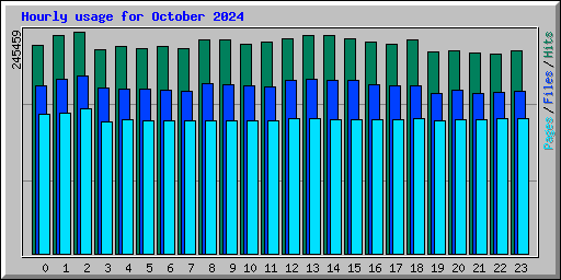 Hourly usage for October 2024