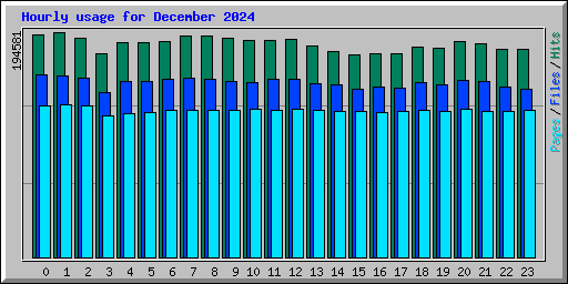 Hourly usage for December 2024